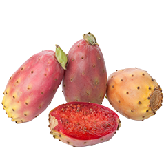 Red Cactus Pear